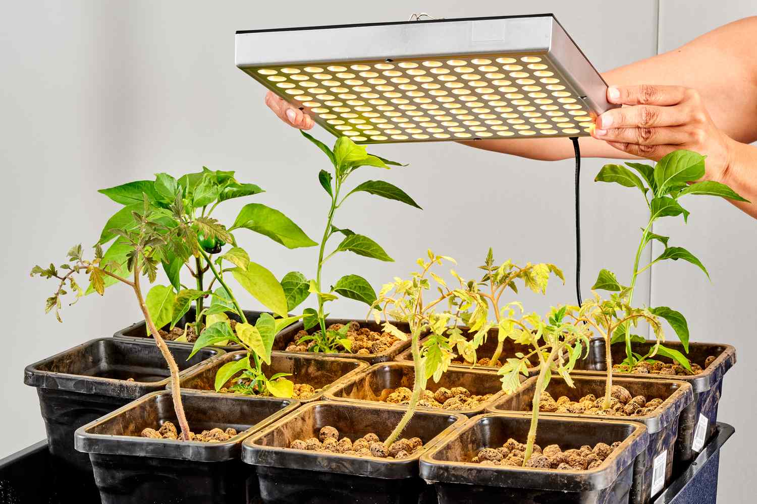 Diy hydroponic systems 5093454 03