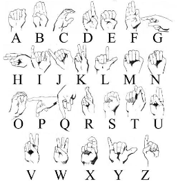 Screenshot 2025 01 07 9.06.55 am