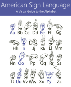 Screenshot 2025 01 17 2.48.25 pm